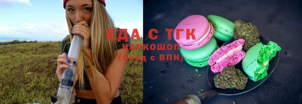 тгк Инсар