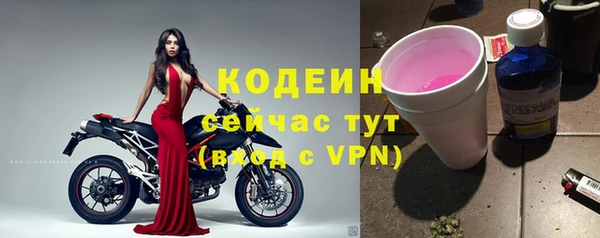 тгк Инсар