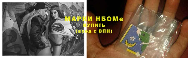 тгк Инсар