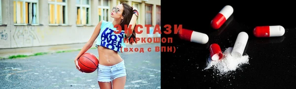тгк Инсар