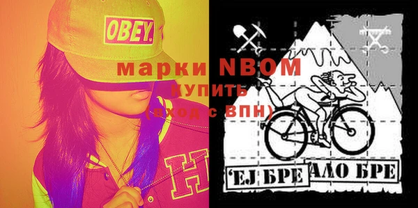 тгк Инсар