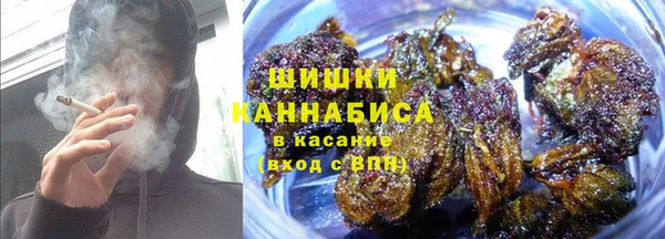 тгк Инсар