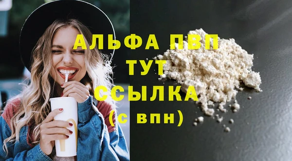 тгк Инсар