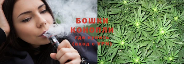 тгк Инсар