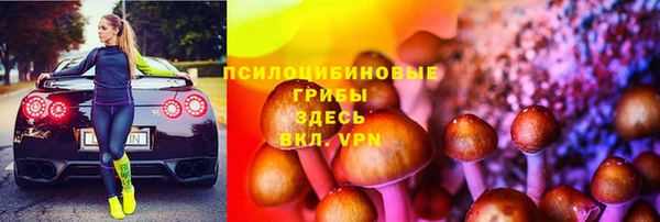 тгк Инсар